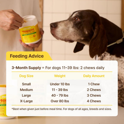 Probiotics for Dogs, Dogs Probiotics for Digestive Health, Multi-Probiotic and Enzyme Blend Promote Gut Health & Immune Support, Eases Sensitive Stomachs (Beef Chews, 50Ct)