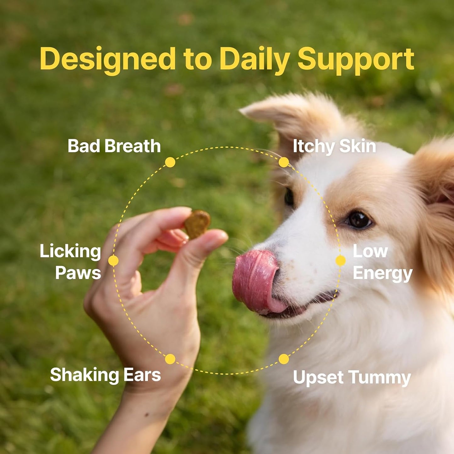 Probiotics for Dogs, Dogs Probiotics for Digestive Health, Multi-Probiotic and Enzyme Blend Promote Gut Health & Immune Support, Eases Sensitive Stomachs (Beef Chews, 50Ct)