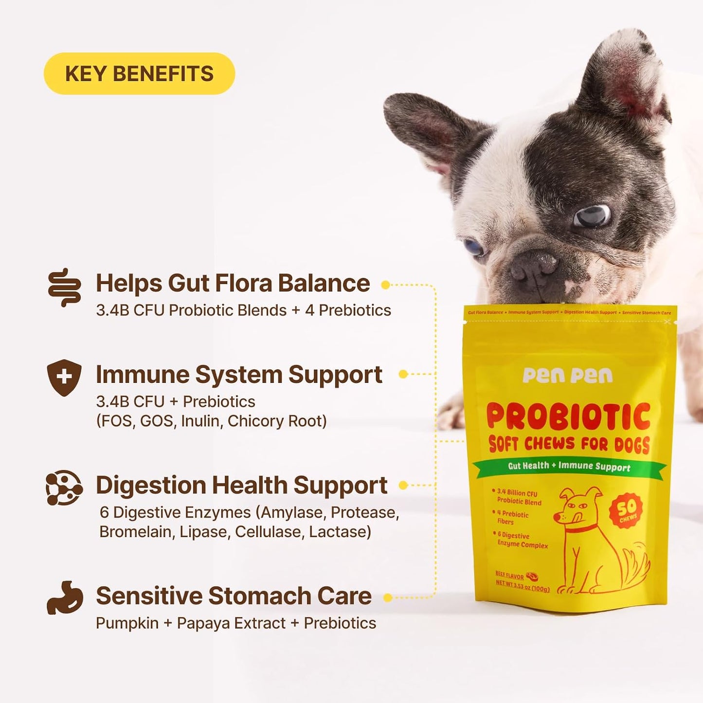 Probiotics for Dogs, Dogs Probiotics for Digestive Health, Multi-Probiotic and Enzyme Blend Promote Gut Health & Immune Support, Eases Sensitive Stomachs (Beef Chews, 50Ct)